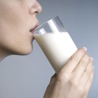 Für ein Leben ohne Kuhmilch - die Alternativen