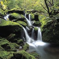 Spenden – aber ökologisch!