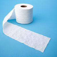 19.11. = Welttoilettentag: Wasser oder Toilettenpapier? Eine nicht nur ökologische Betrachtung