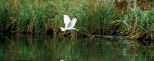 Naturschutzgebiet: Natur zum Anfassen?