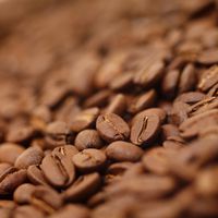 Ökologischer Fairtrade-Kaffee