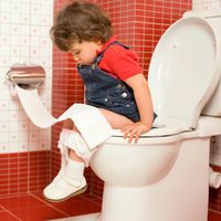 Kinderpo: Toilettensitze können Hautprobleme auslösen