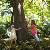 Waldkindergarten – Natur pur für kleine Stadtbewohner?