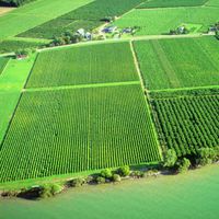 Auch 2009 ist der ökologische Landbau weiter gewachsen