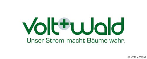 Volt + Wald = Ökostrom + fünf neue Bäume pro Kunde