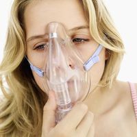 Allergien: Vorsicht ist besser als Nachsicht
