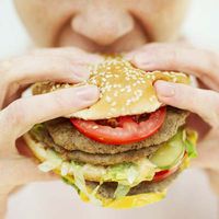 Bio-Fastfood auf dem Vormarsch